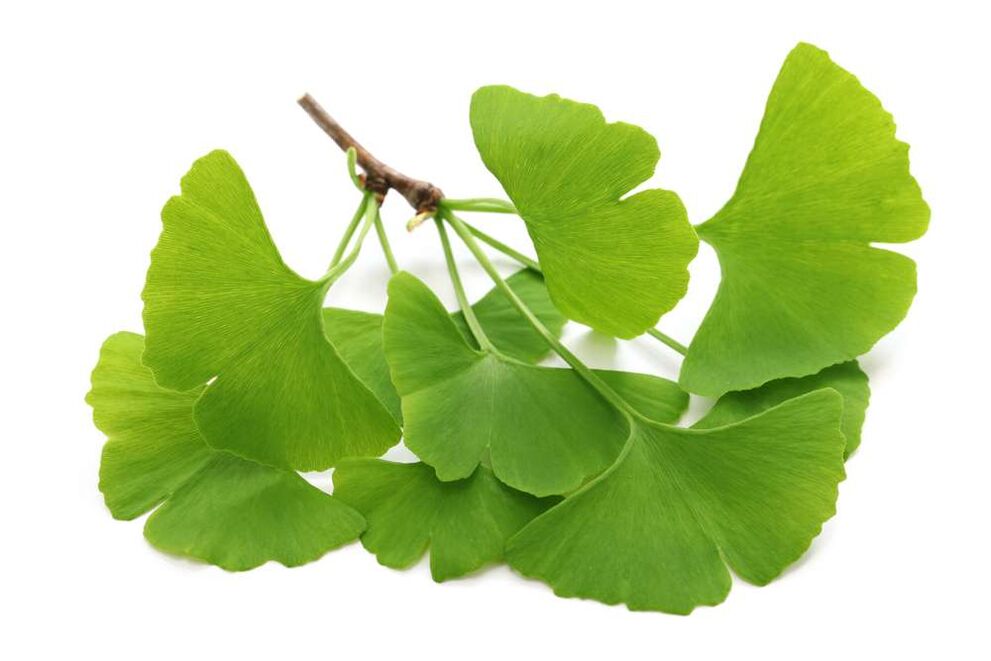 gingko biloba kapsulėse Glucoren